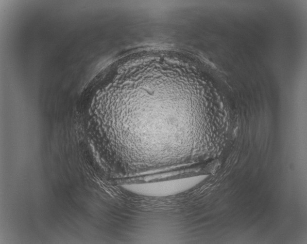 X0000052961255200507300102