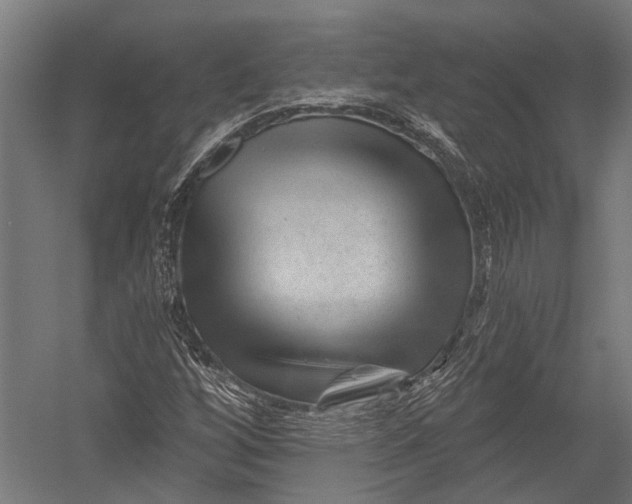 X0000052961256200507300102