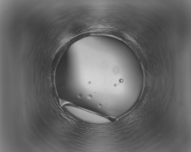 X0000052961259200507300102