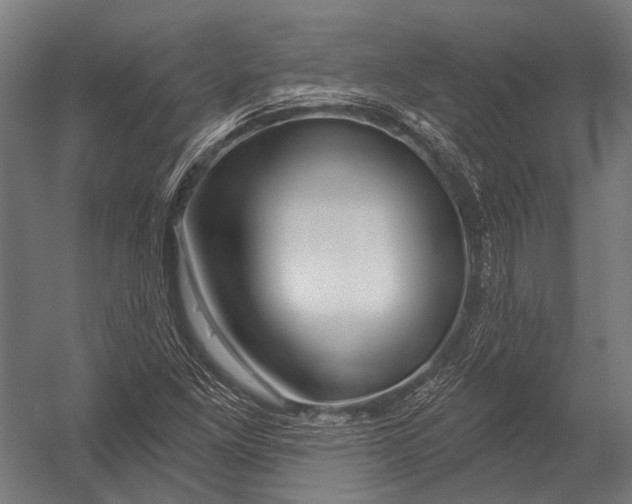 X0000052961261200507300102