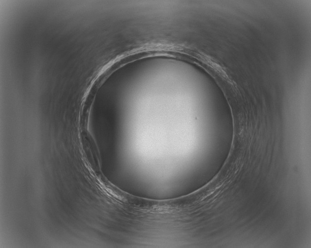 X0000052961264200507300102