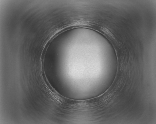 X0000052961268200507300102