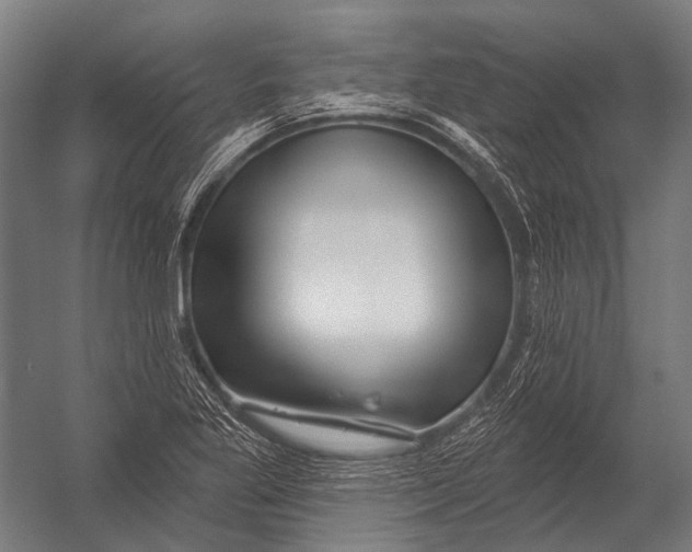 X0000052961269200507300102