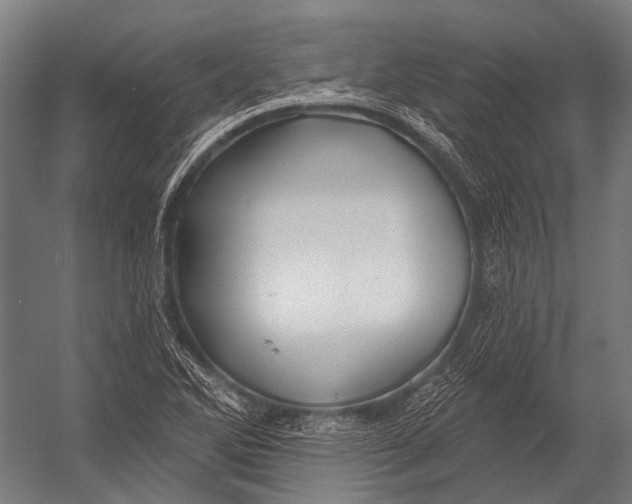 X0000052961270200507300102