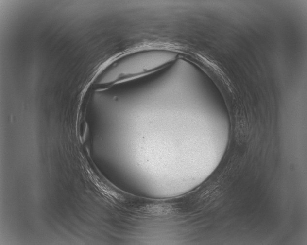 X0000052961272200507300102