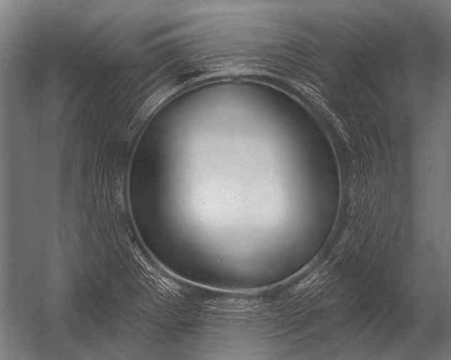 X0000052961273200507300102