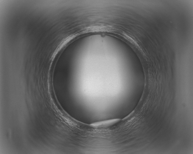X0000052961277200507300102