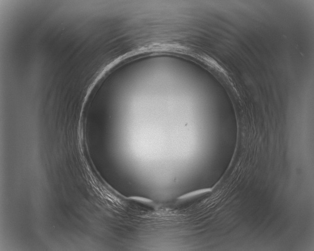 X0000052961280200507300101