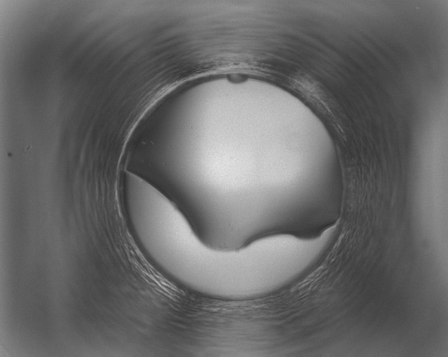X0000052961284200507300101