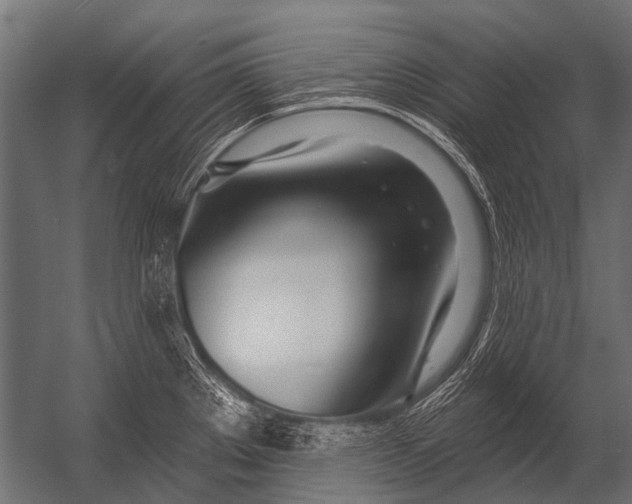 X0000052961289200507300101