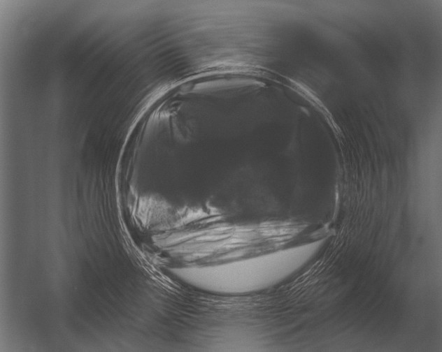 X0000052961291200507300101
