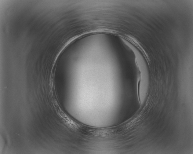 X0000052961292200507300101