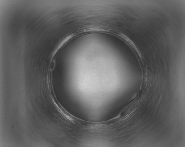 X0000052961293200507300101