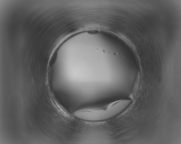X0000052961296200507300101