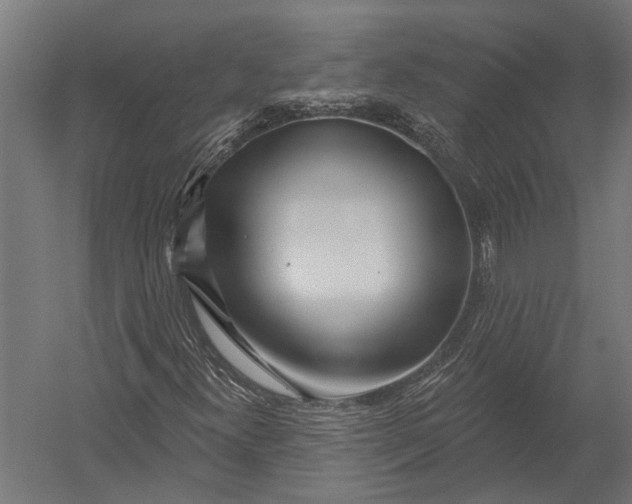 X0000052961300200507300100