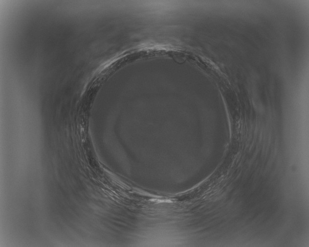 X0000052961303200507300100