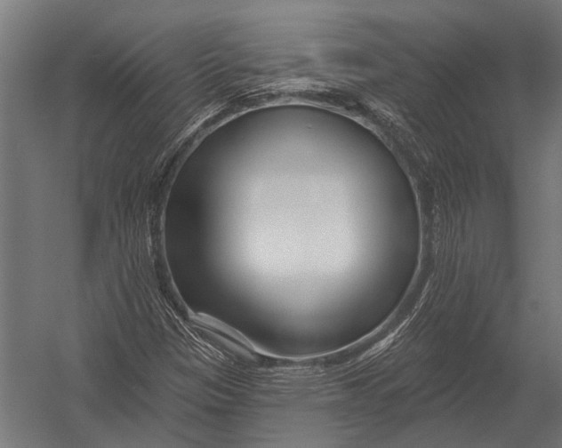 X0000052961305200507300101