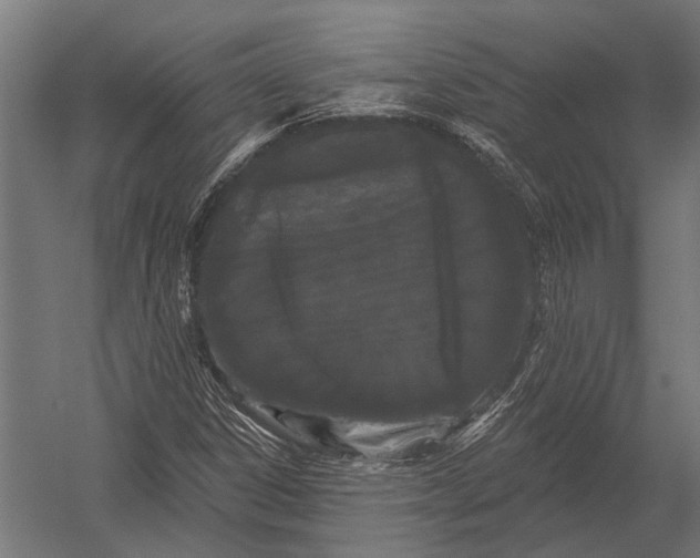 X0000052961306200507300101