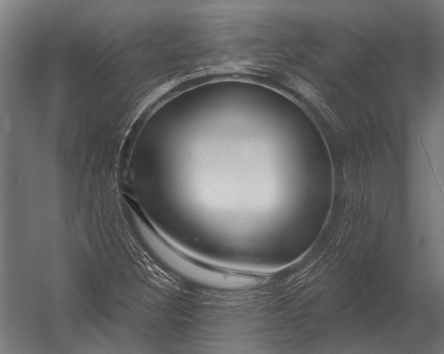 X0000052961308200507300101