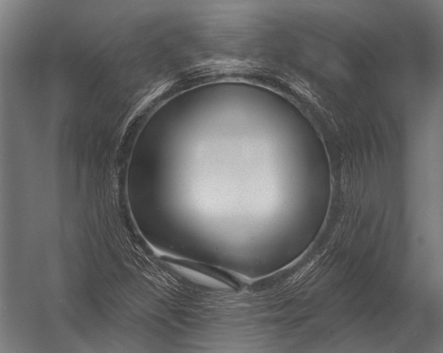 X0000052961309200507300101