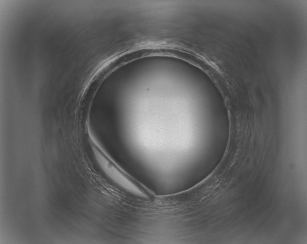 X0000052961311200507300101
