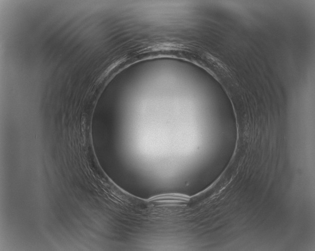 X0000052961313200507300101