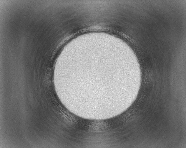 X0000052961314200507300101