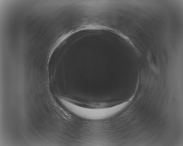 X0000052961319200507300101
