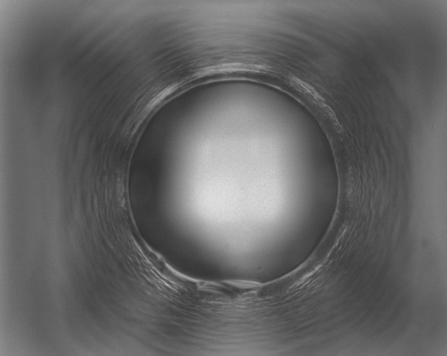 X0000052961321200507300101