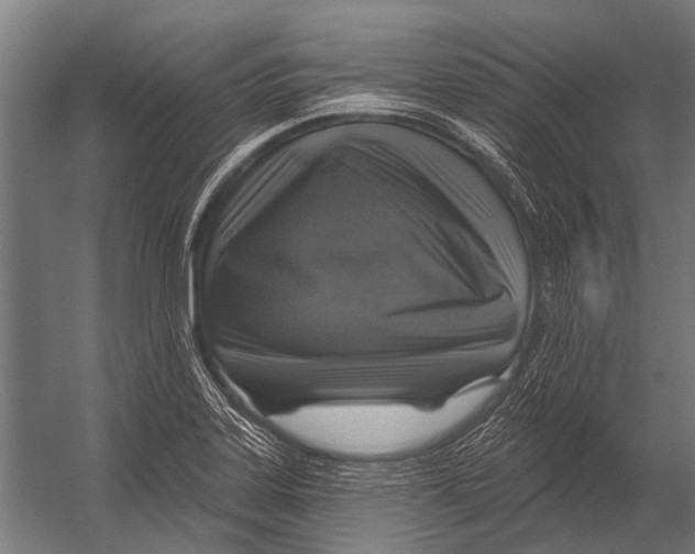 X0000052961323200507300101