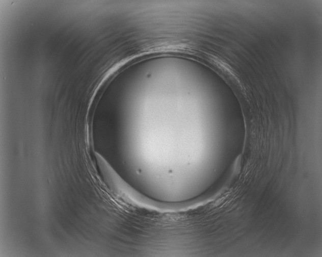 X0000052961324200507300101