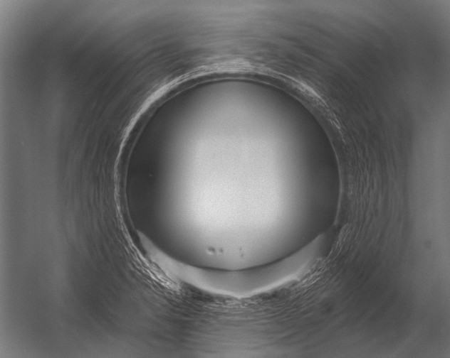 X0000052961326200507300101