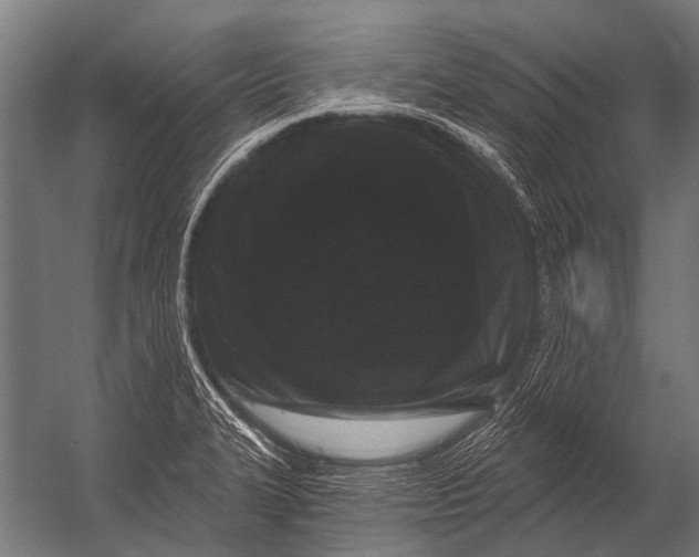 X0000052961327200507300101