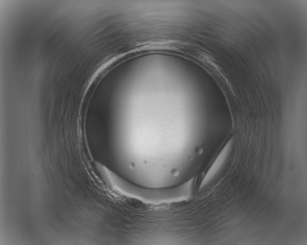 X0000052961328200507300101