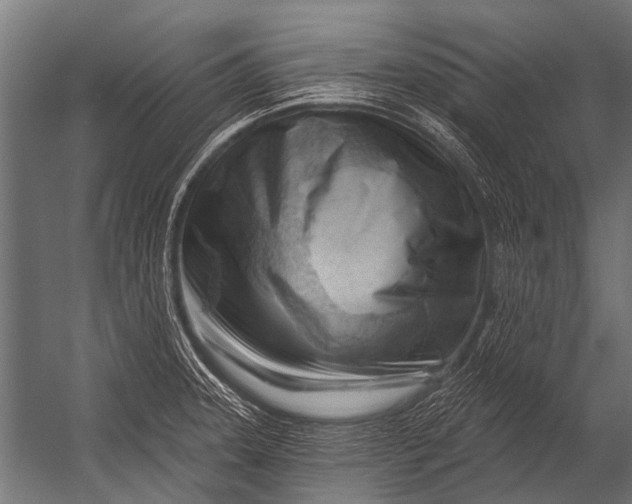 X0000052961331200507300101