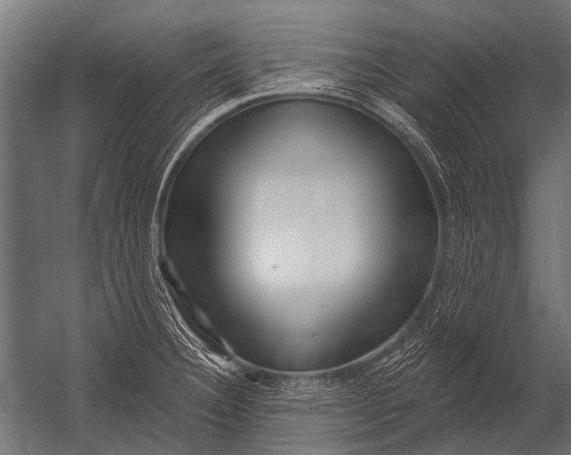 X0000052961332200507300101