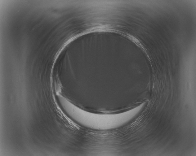 X0000052961334200507300101