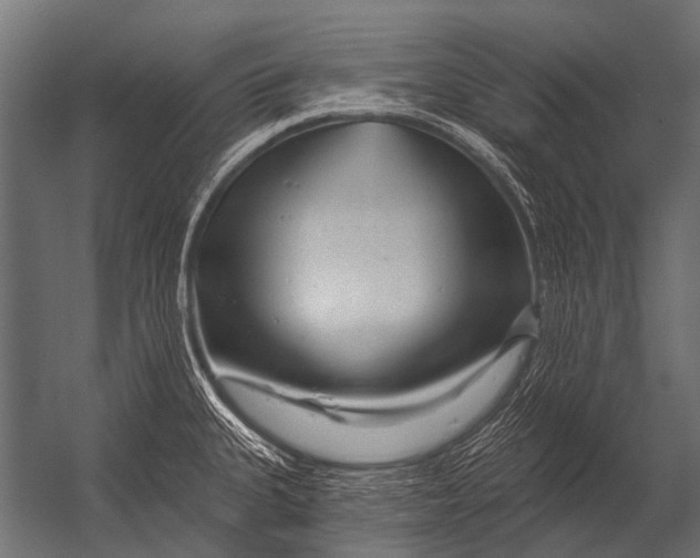 X0000052961335200507300101