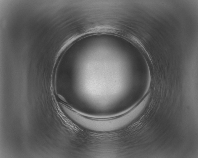 X0000052961336200507300101