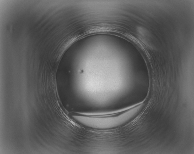 X0000052961337200507300101