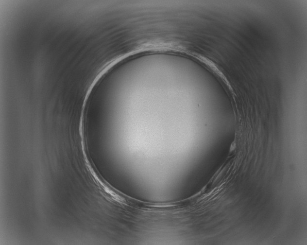 X0000052961343200507300101