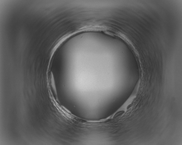 X0000052961344200507300101