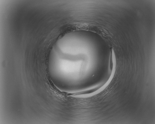 X0000052961345200507300100