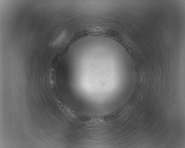 X0000052961346200507300100
