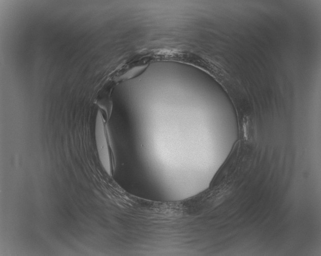 X0000052961347200507300100
