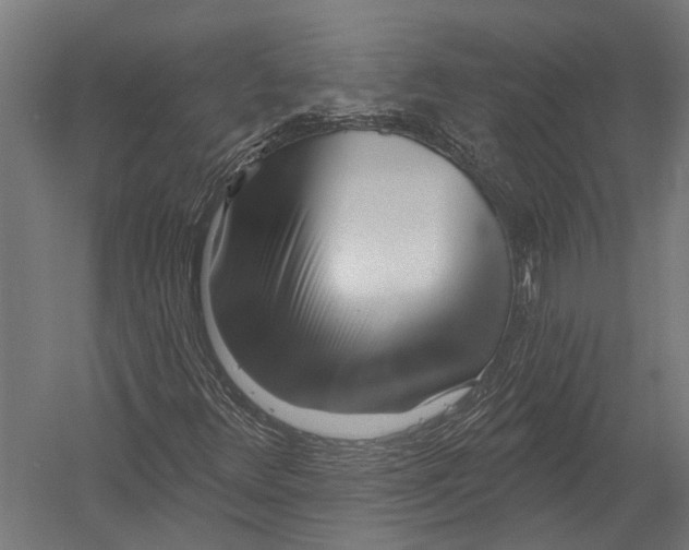 X0000052961348200507300100
