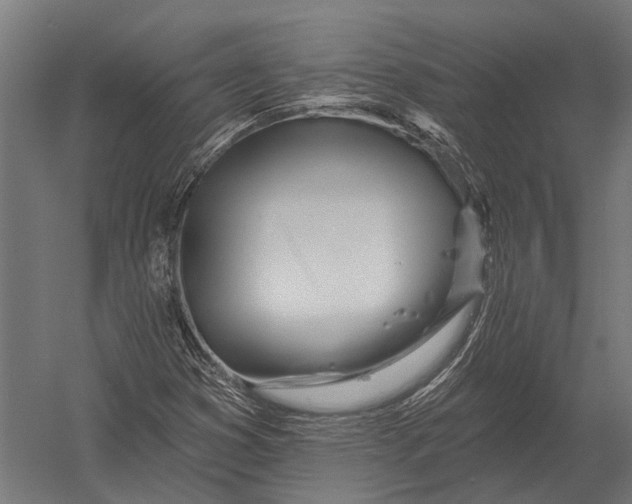 X0000052961353200507300100