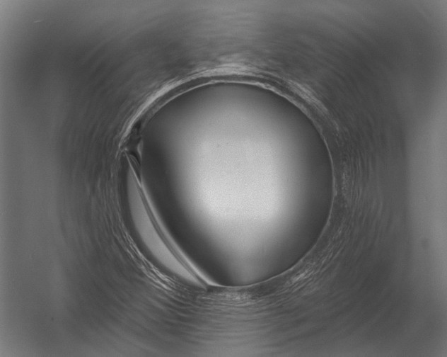 X0000052961356200507300100