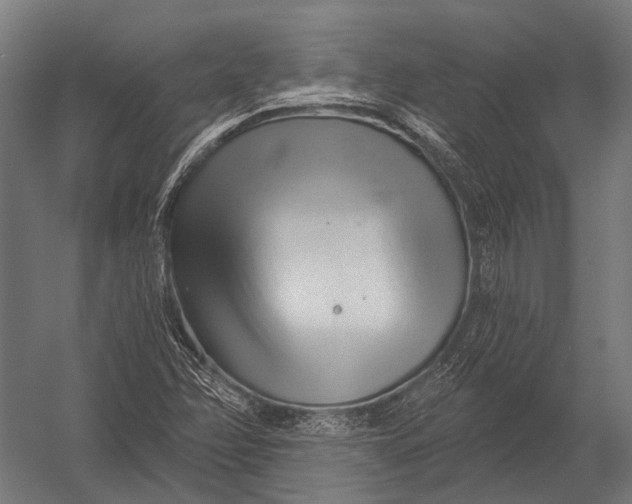 X0000052961358200507300100