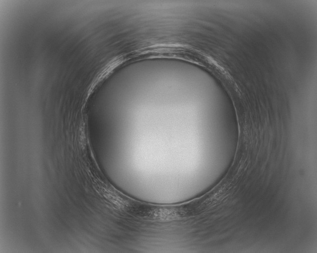 X0000052961362200507300100